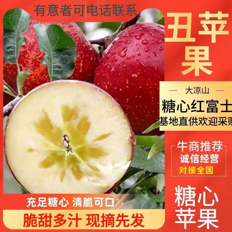 四川大凉山丑苹果，糖心富士苹果，又大又红，进我店铺了解吧