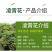 凌霄花苗爬藤植物攀爬树桩美国凌霄庭院阳台四季开花卉浓香