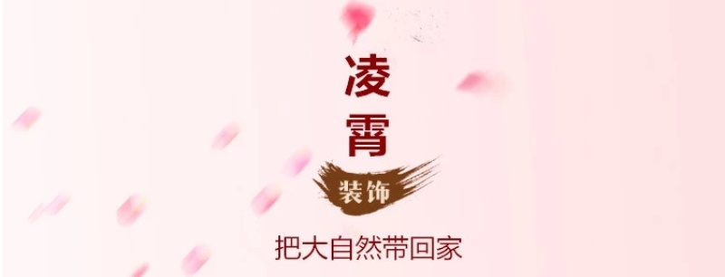 凌霄花苗爬藤植物攀爬树桩美国凌霄庭院阳台四季开花卉浓香
