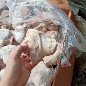 猪脚圈，猪拐骨，蹄圈，小肘子，熟食必备，