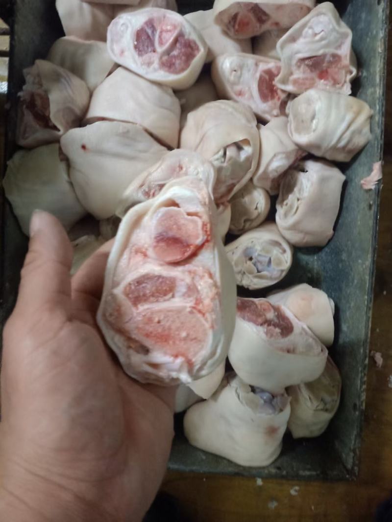 猪脚圈，猪拐骨，蹄圈，小肘子，熟食必备，