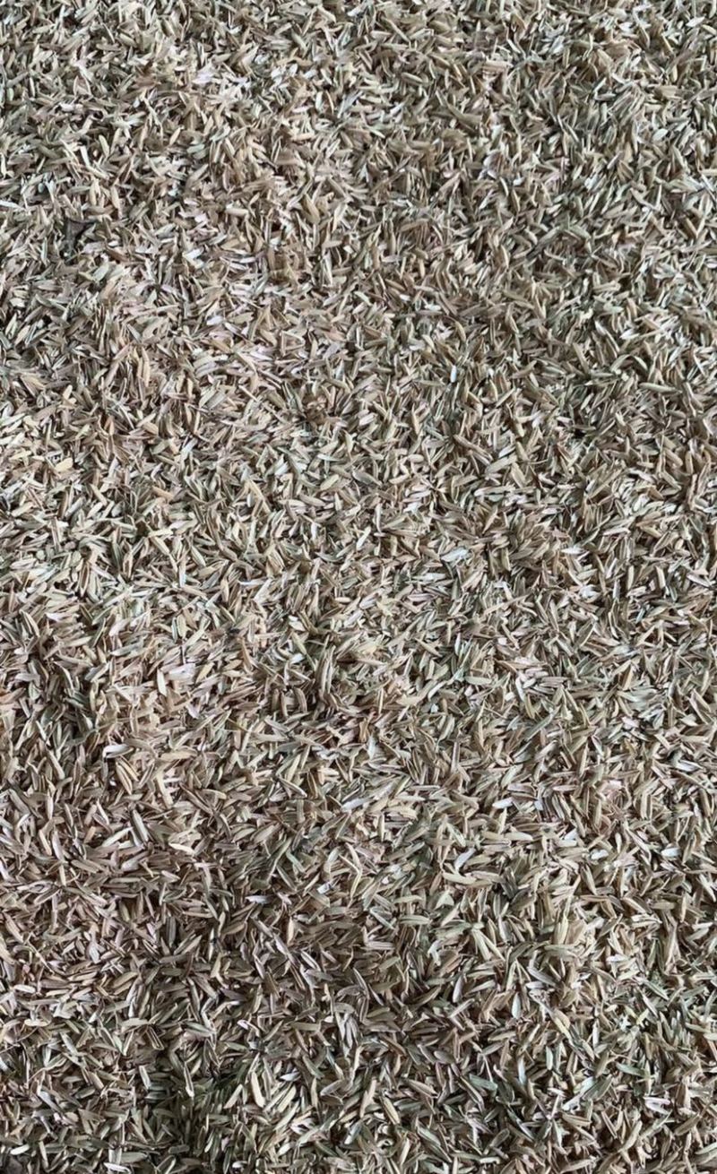 稻壳可用于酿酒食用菌铺垫养鸡场铺垫