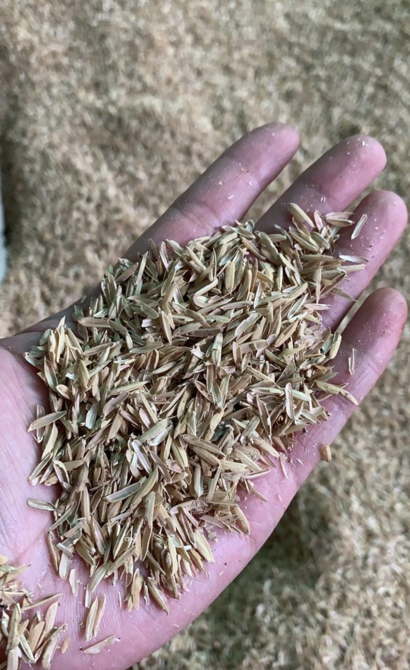 稻壳可用于酿酒食用菌铺垫养鸡场铺垫