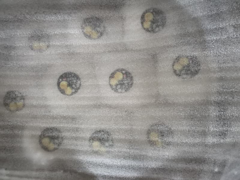 原产地供货商：秋月梨，大量上市，价格美丽！