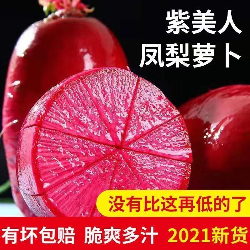 紫美人，凤梨萝卜，基地直发，大量现货，批发，一件代发