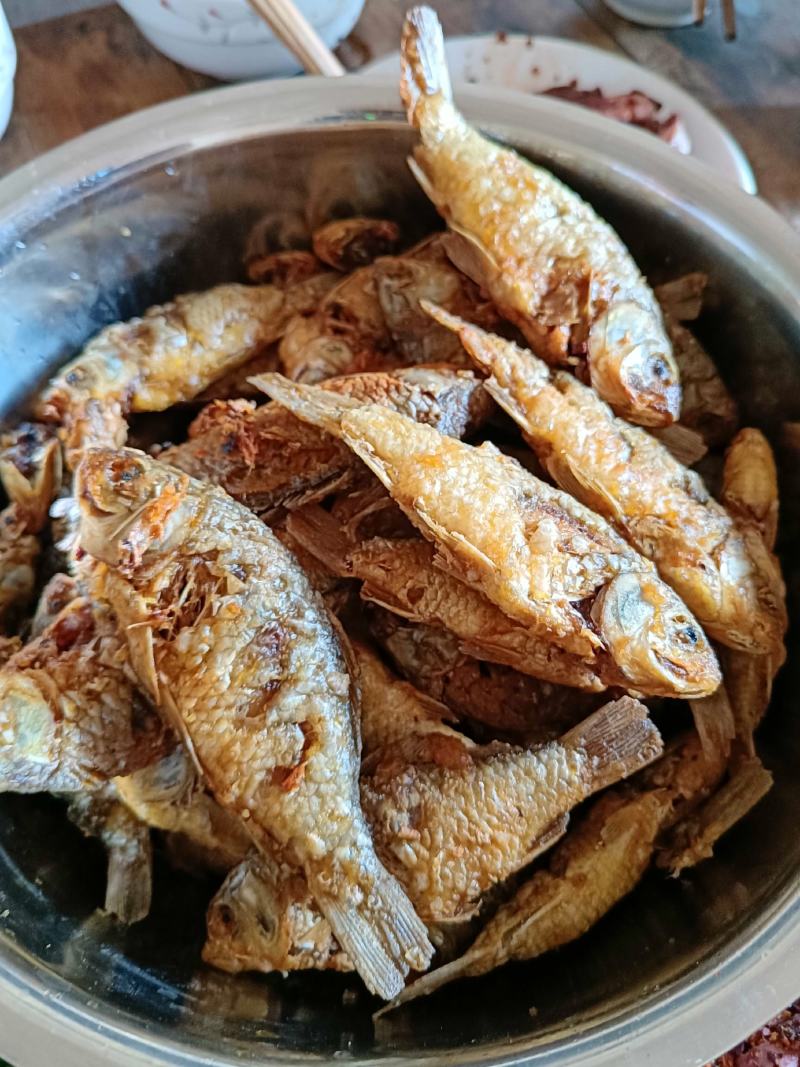 大量出售白条鱼