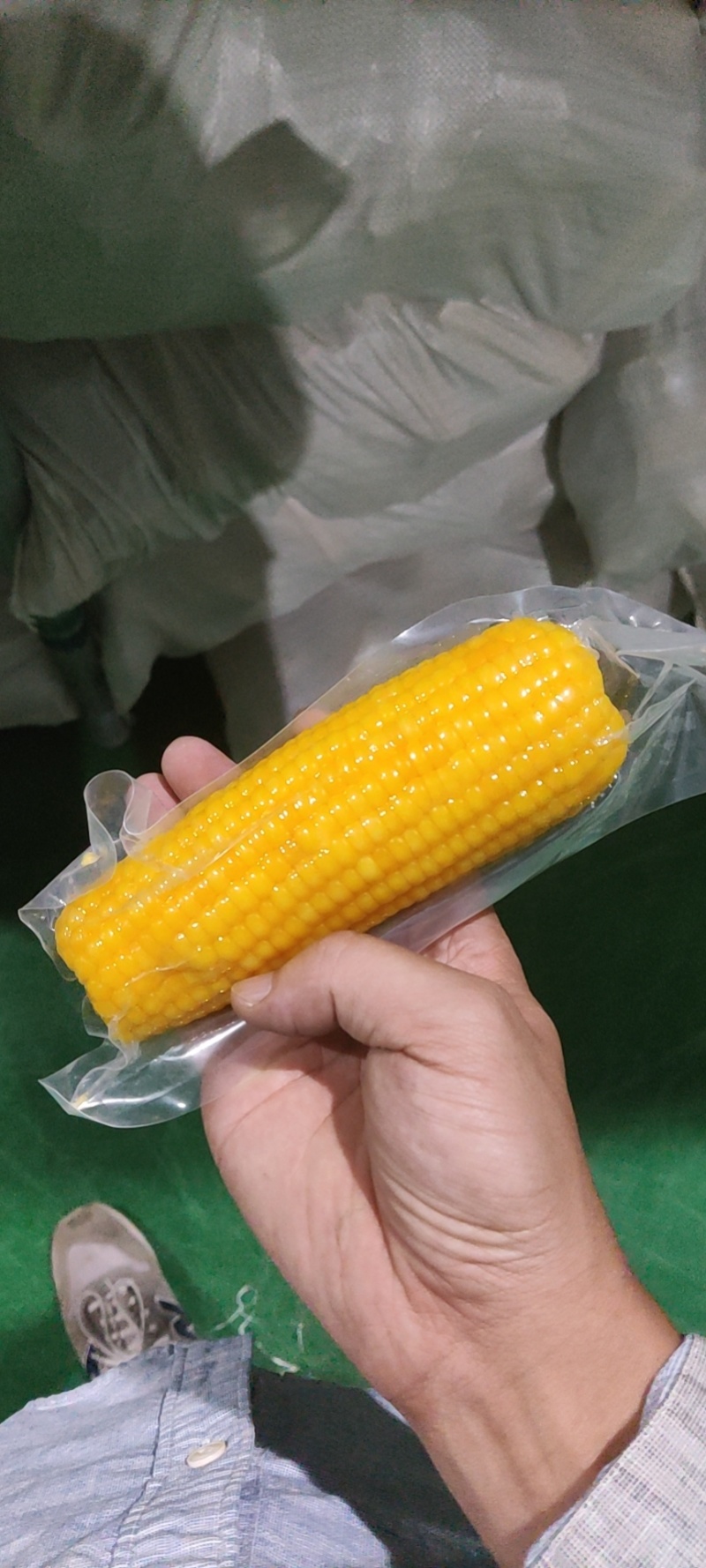 东北糯玉米真空包装