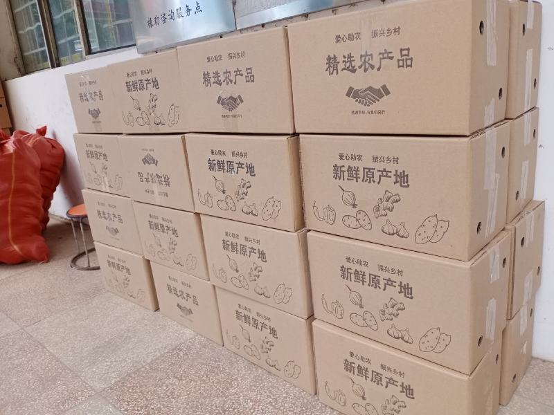 驻马店土豆