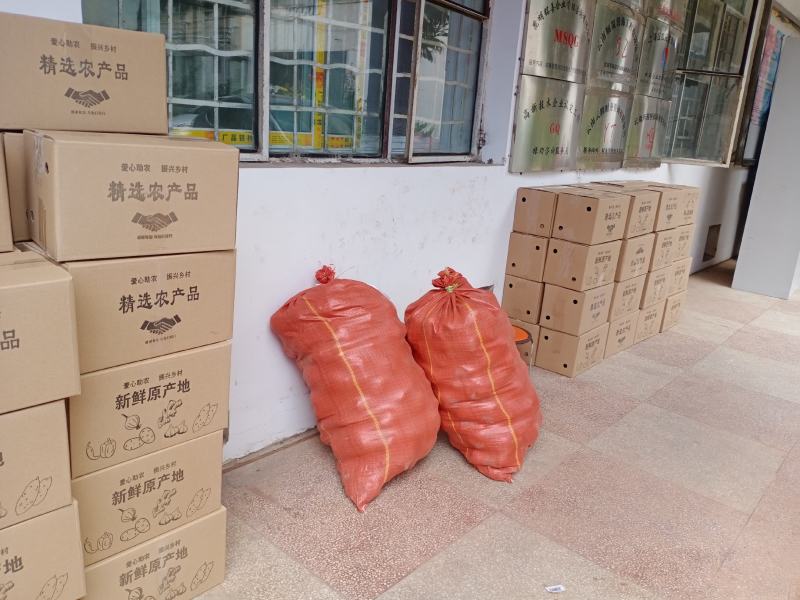 驻马店土豆