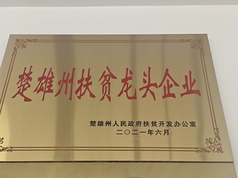 （普白二路）2024年云南楚雄核桃仁基地供货+工厂批发