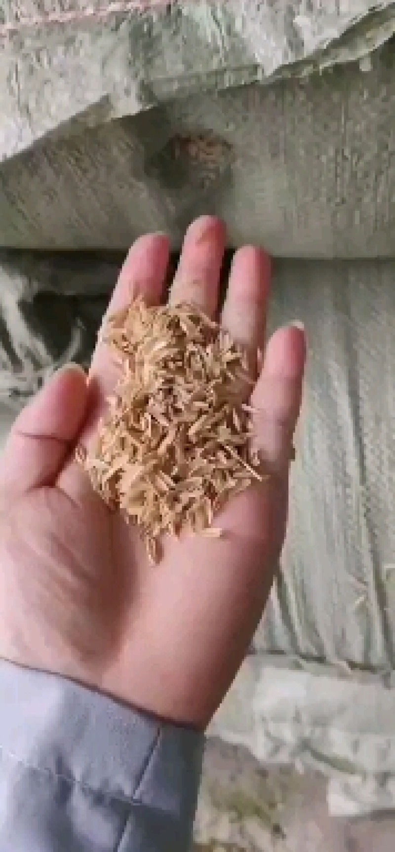 各类压缩稻壳，打包稻壳，壳粉，油糠，全国发货，价格美丽