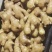山东鲜姜大量供应!大量上市品质,好价格优!