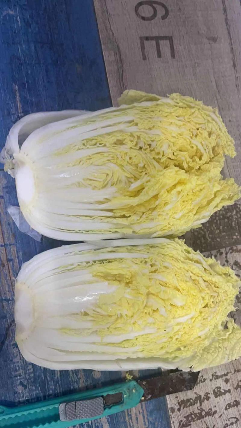平台爆品基地小娃娃菜，大娃娃大量上市，日供量100吨