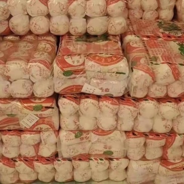 平台爆品基地小娃娃菜，大娃娃大量上市，日供量100吨