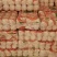 平台爆品基地小娃娃菜，大娃娃大量上市，日供量100吨