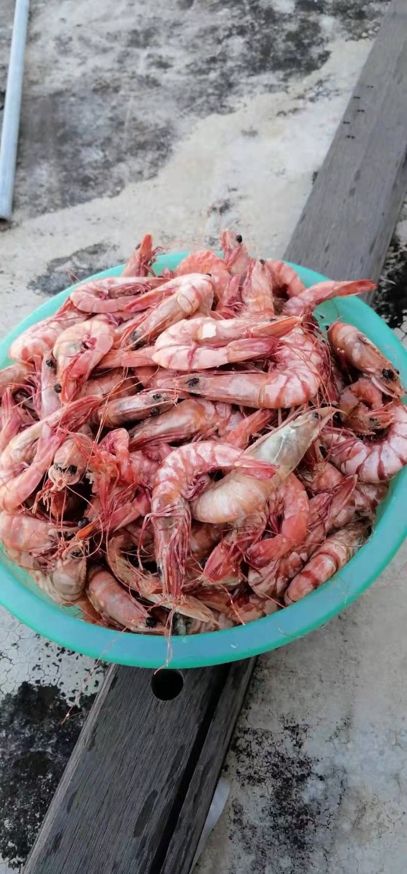 湛江干虾