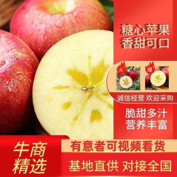 【推荐】正宗糖心苹果，野生苹果合作社提供销售，安全有保障