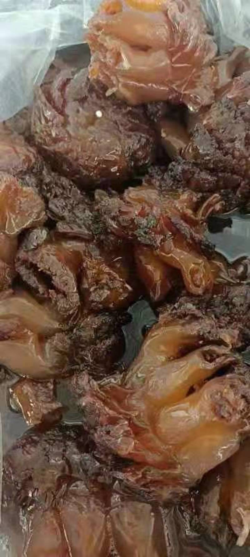 海蜇