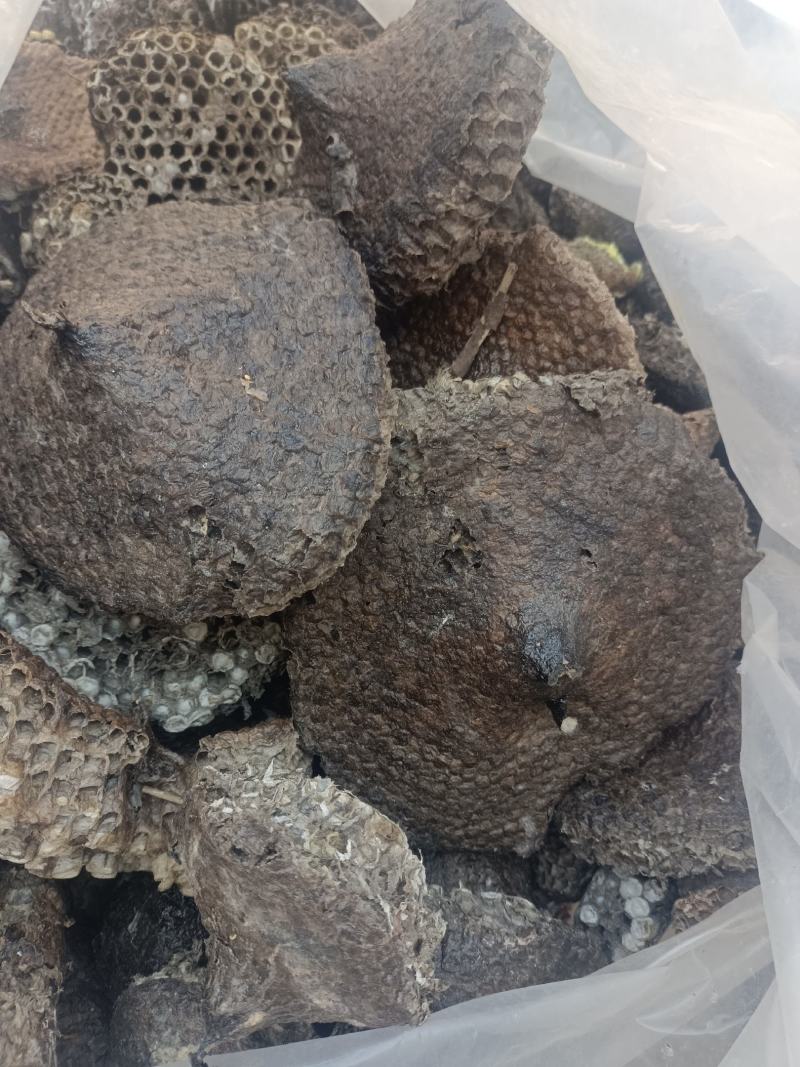河南蜂房，软蜂房，大眼蜂房，无虫蛀，无任何添加，