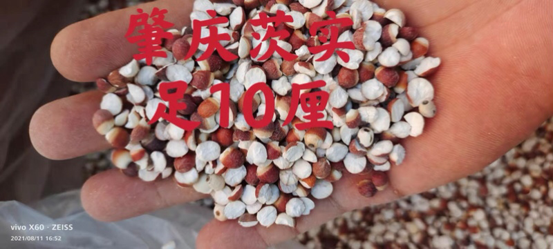 芡实肇实本地货各种规格新货无硫无碎省内包邮