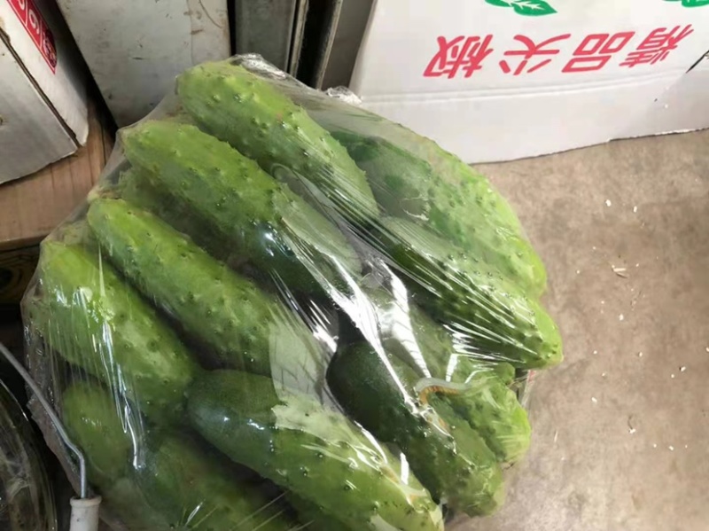 产地直发，旱黄瓜，价低货优，诚信产品，欢迎合作