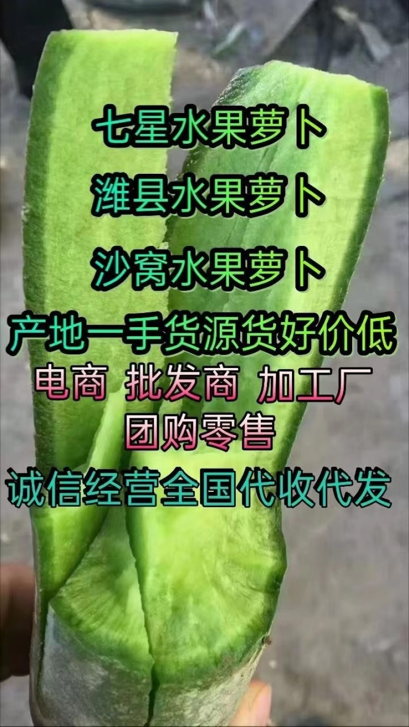 山东潍坊产区大棚瓜茬铁杆水果萝卜大量上市中
