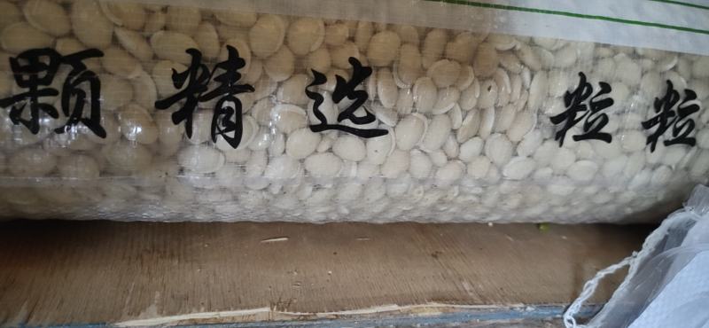 23年白扁豆包邮药食同源扁豆优质扁豆5斤起批