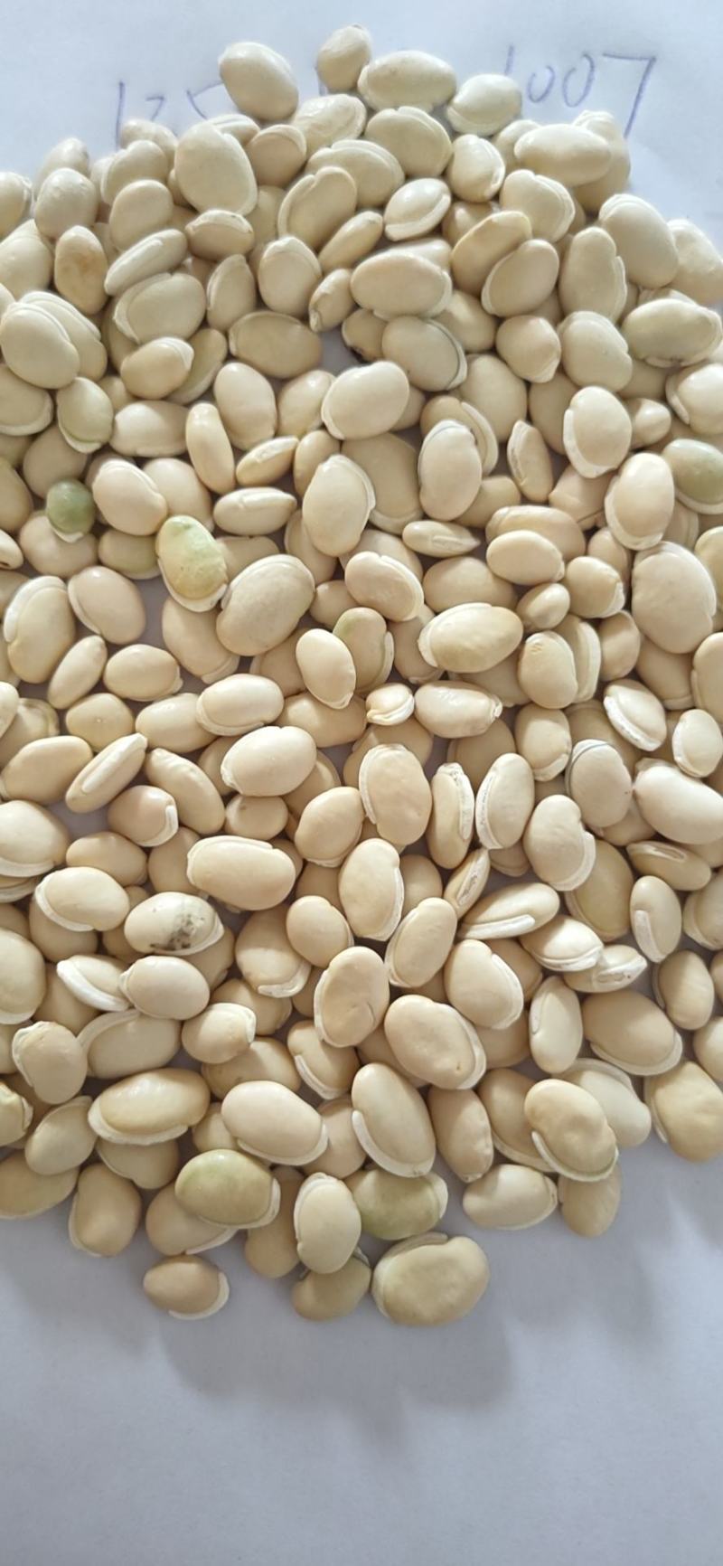 23年白扁豆包邮药食同源扁豆优质扁豆5斤起批