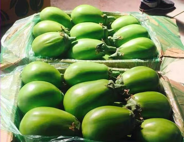 茄子与其他蔬菜的营养对比图