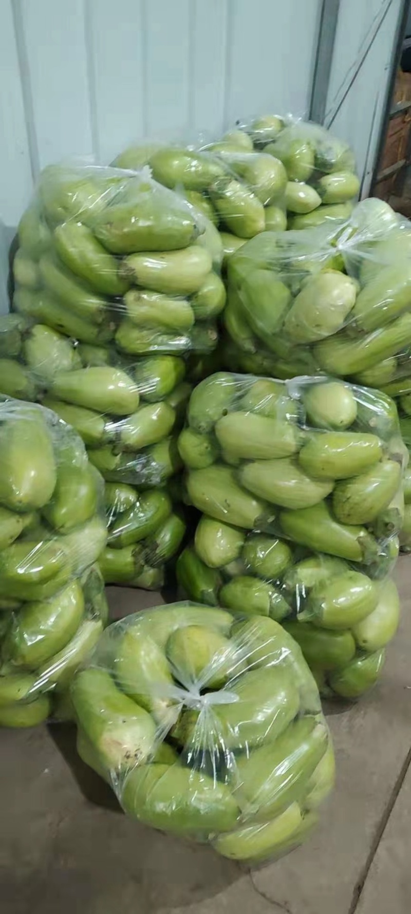 精品茄子，诚信代办，产地直销，一次合作终身受益。