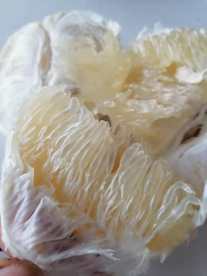 甜葡萄柚