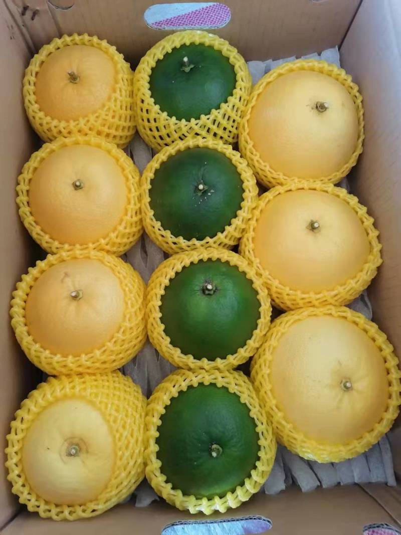 甜葡萄柚