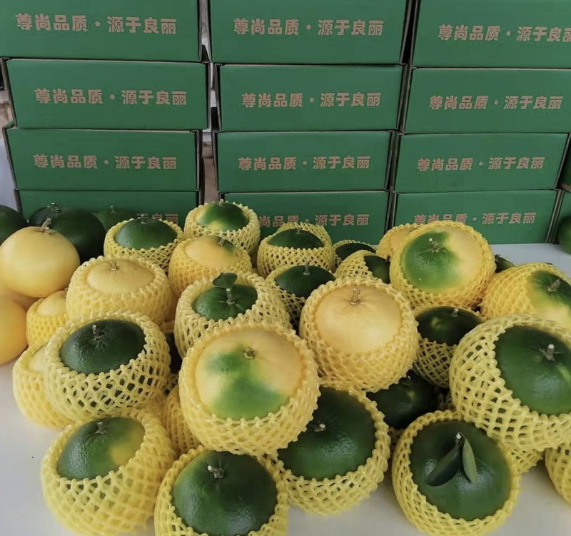 甜葡萄柚