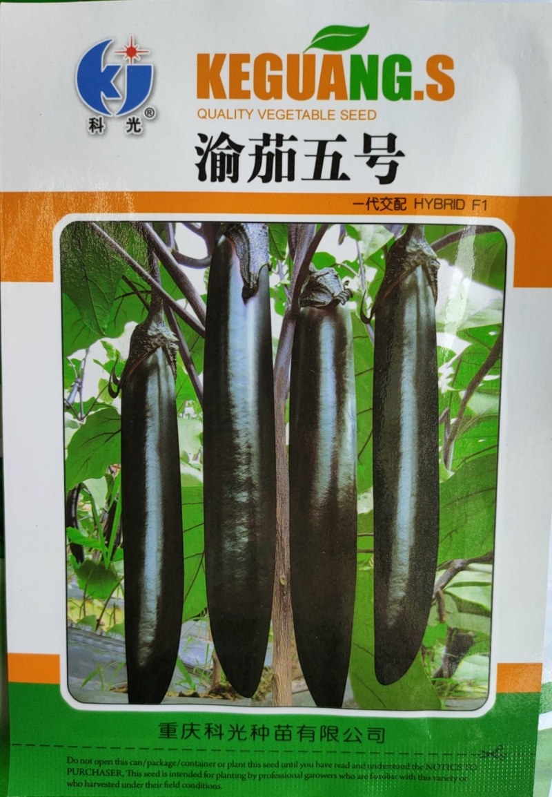 茄子种子长茄墨茄颜色黑亮抗热可作嫁接长度33公分