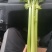 蔬菜
