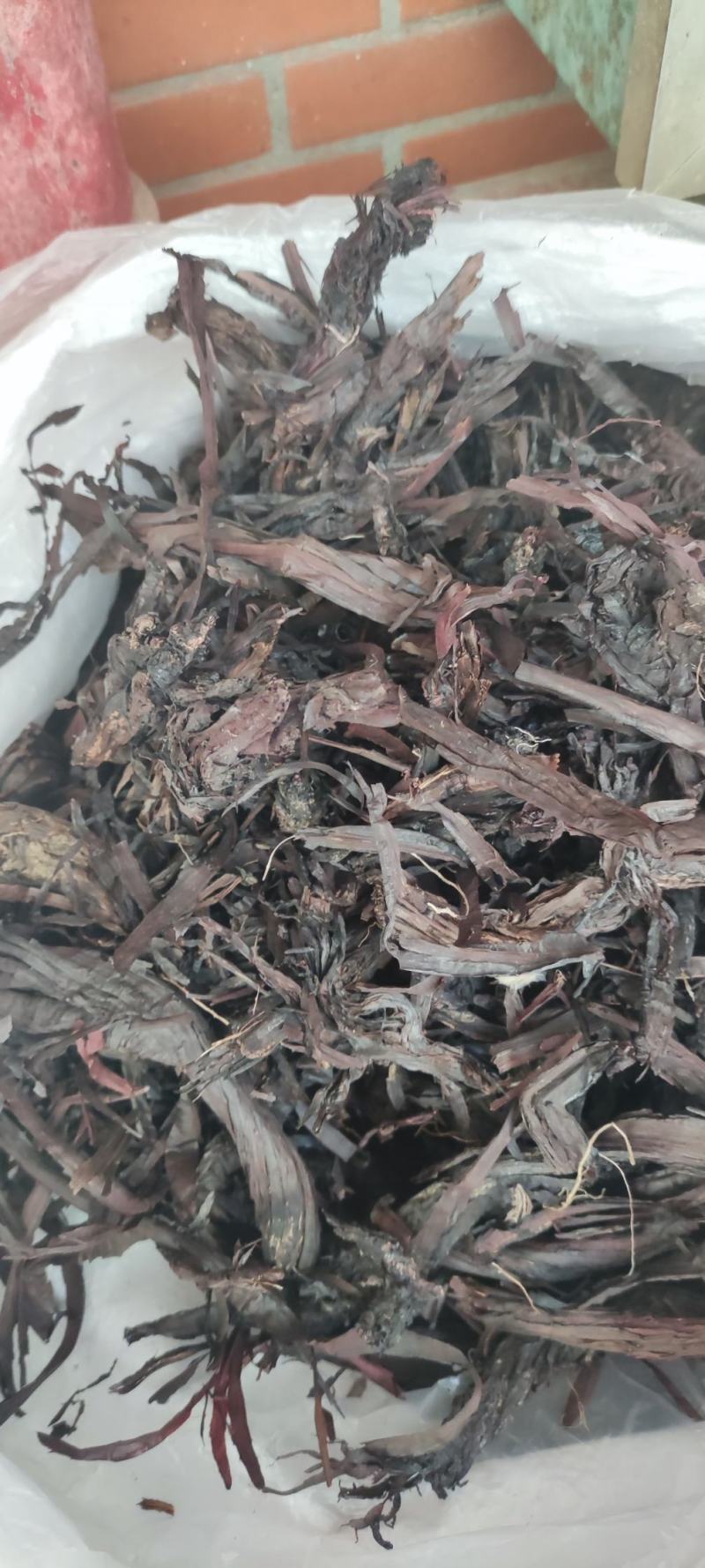 紫草~新货紫丹茸~野紫草~红条紫草~1公斤起售~