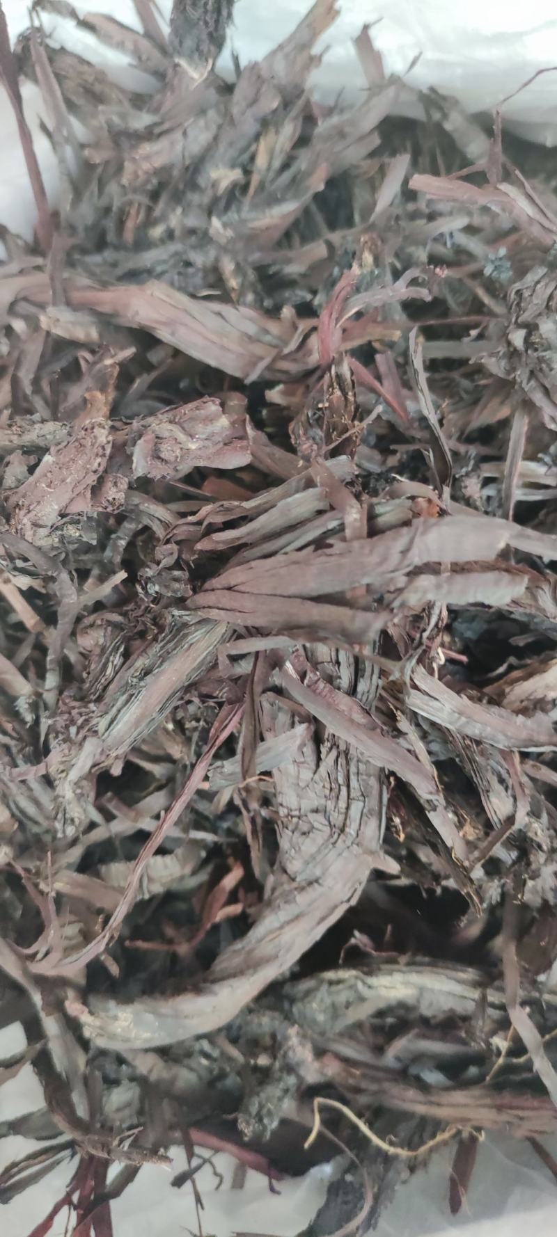紫草~新货紫丹茸~野紫草~红条紫草~1公斤起售~