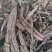 紫草~新货紫丹茸~野紫草~红条紫草~1公斤起售~