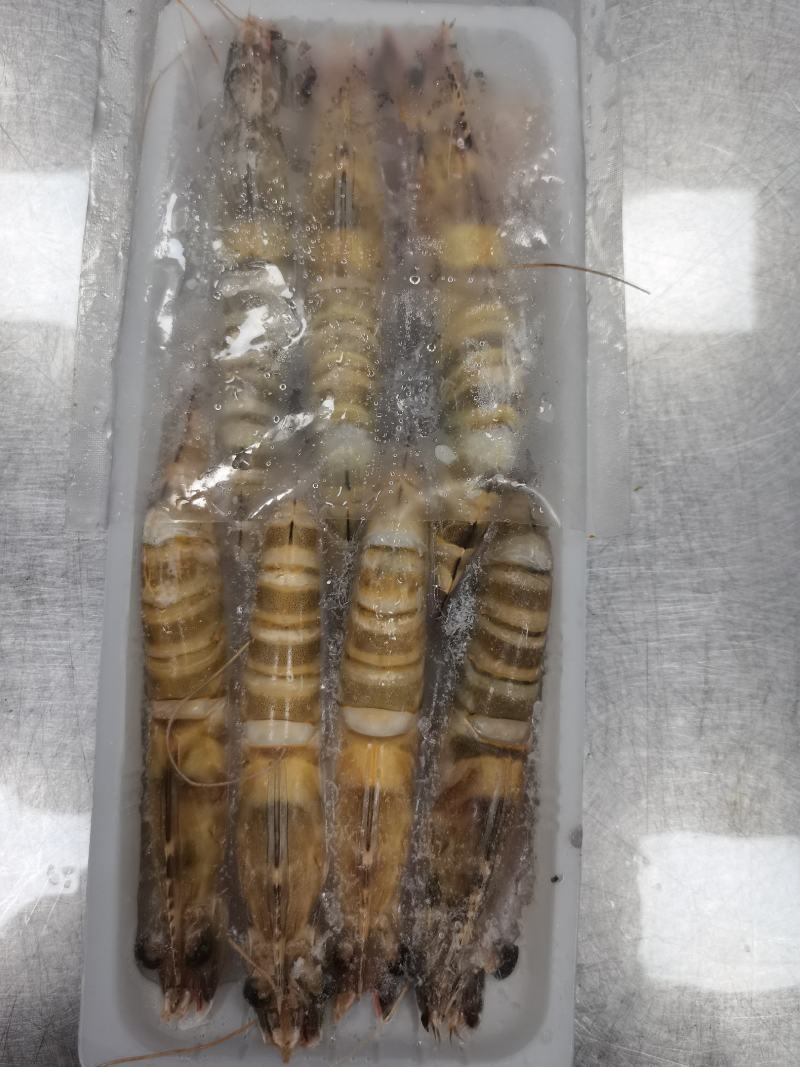 花虾，竹节虾，九节虾，一晚海码头新鲜上岸，全规格6/8