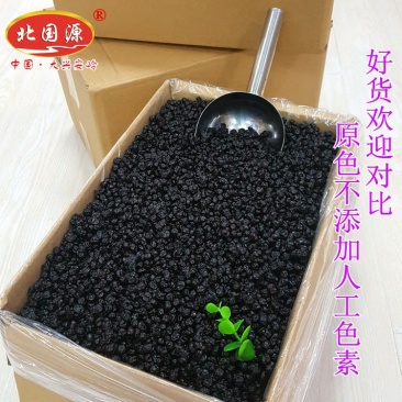 野生蓝莓果干蓝莓干
