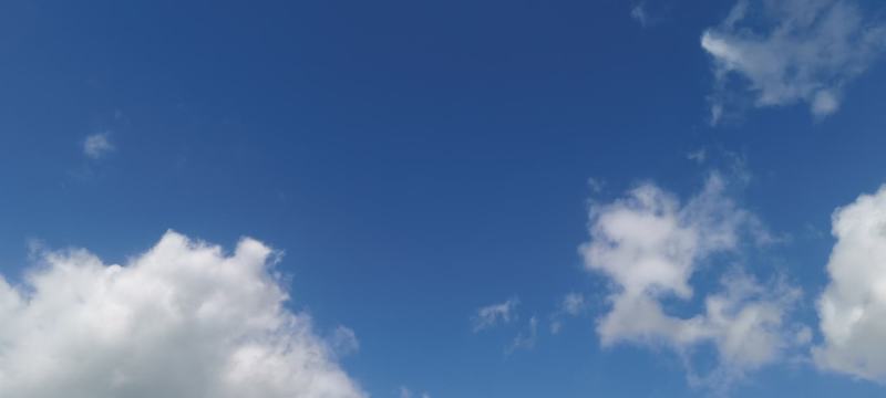 乔纳金，苹果。开始全面上市了，本地风调雨顺，果质较往年要