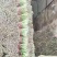 产地直发，超市专供，全国发货，物美价廉，精品韭菜