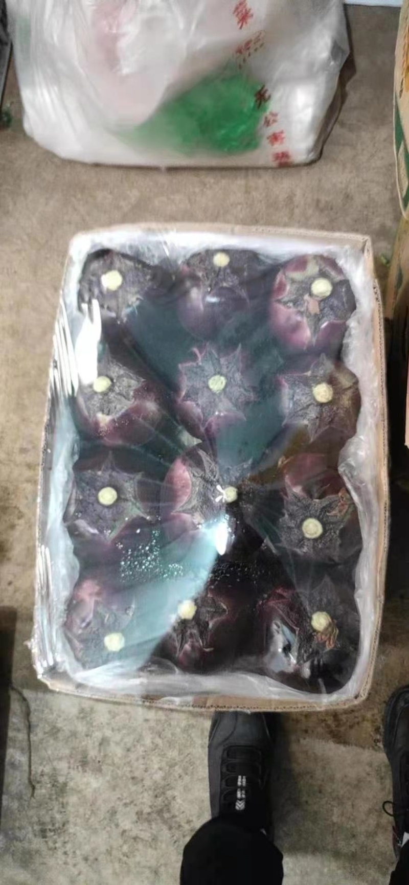 产地直发，超市专供，全国发货，物美价廉，精品紫茄子