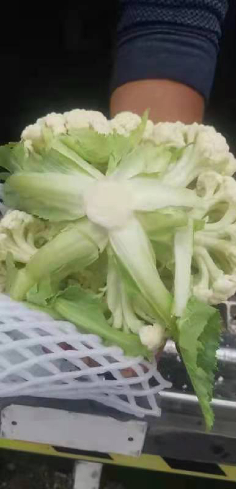 产地直发，超市专供，全国发货，物美价廉，精品菜花
