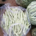 产地直发，超市专供，全国发货，物美价廉，精品白豆