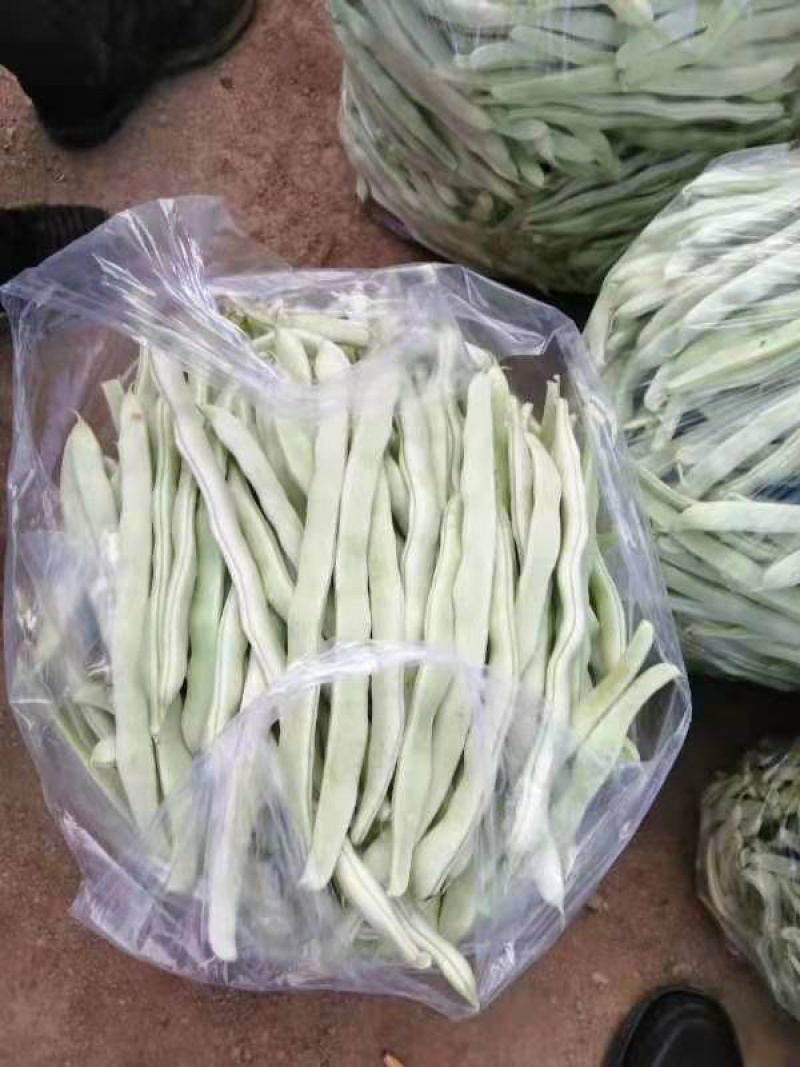 产地直发，超市专供，全国发货，物美价廉，精品白豆