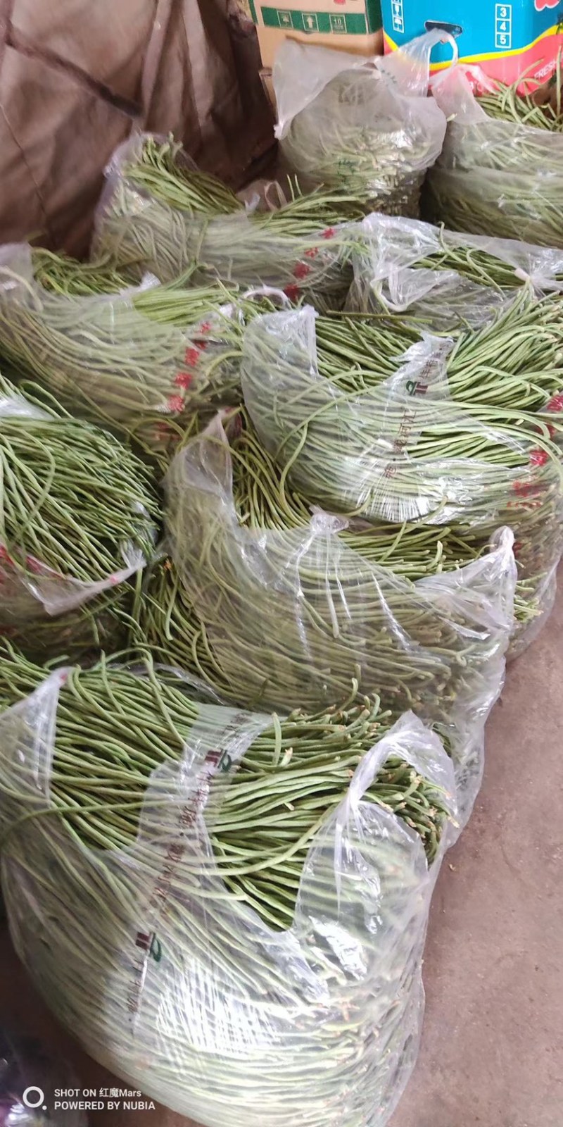 产地直发，超市专供，全国发货，物美价廉，精品长豇豆