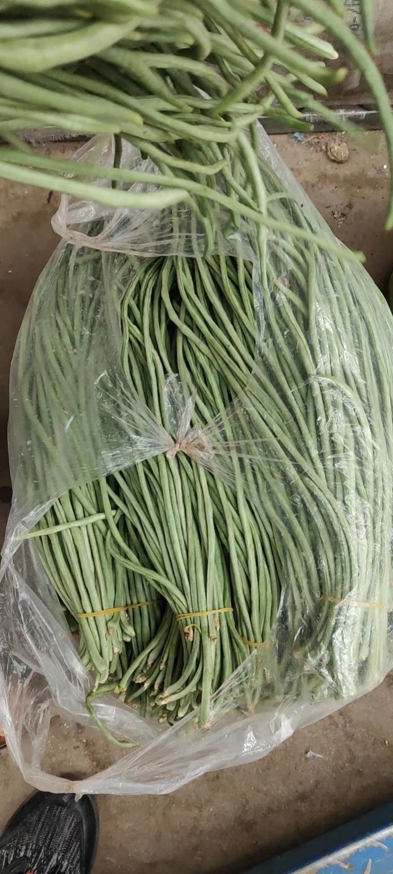 产地直发，超市专供，全国发货，物美价廉，精品长豇豆