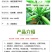 西葫芦种子高产抗高温油亮抗病毒越夏秋季进口