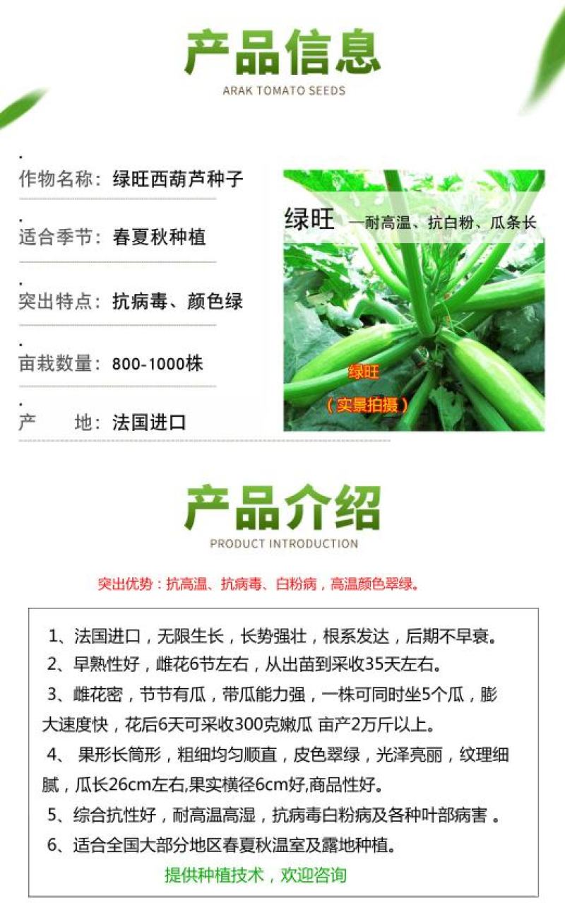 西葫芦种子高产抗高温油亮抗病毒越夏秋季进口
